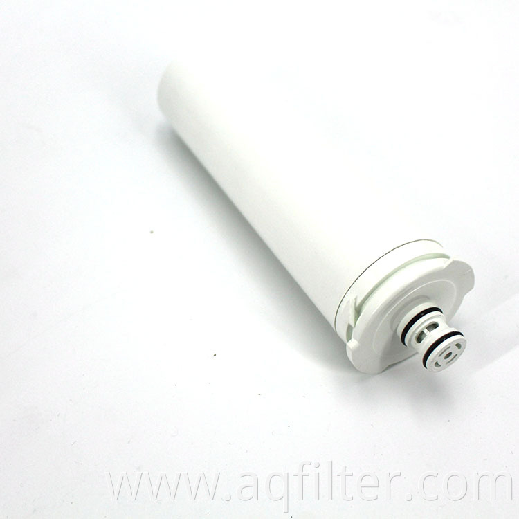 Hot selling active carbon resin inside water filter replacement